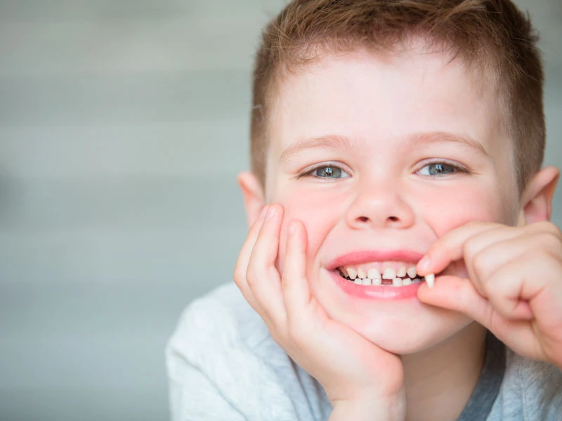 Función de los dientes de leche